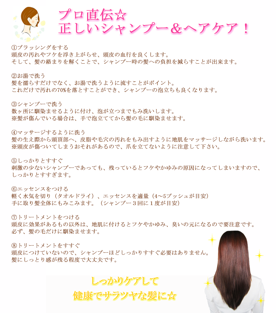 プロ直伝